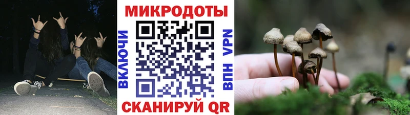 Купить где  Агидель  Галлюциногенные грибы ЛСД 